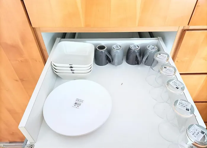 Fmi13furnished Rüsselsheim